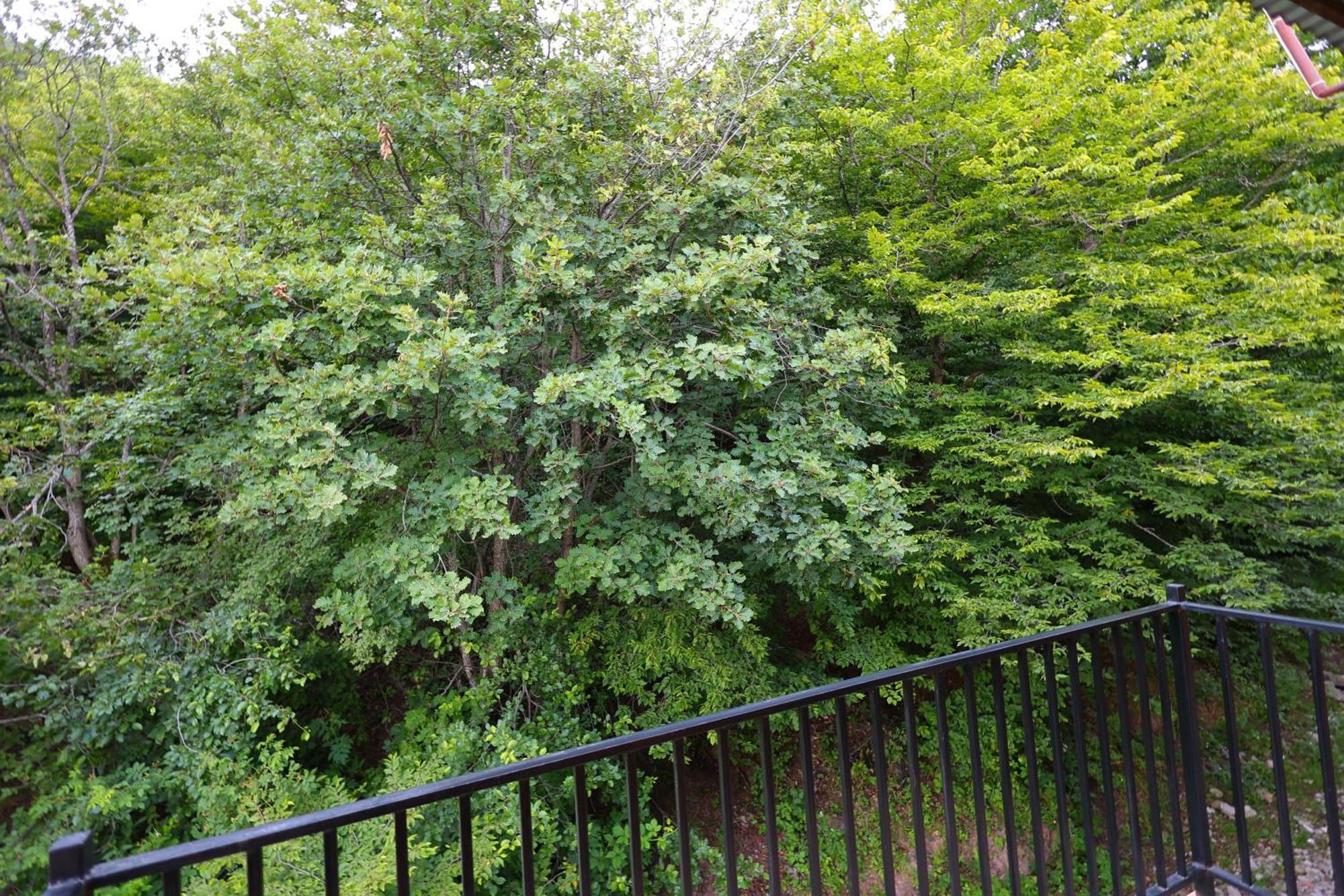 Yeghevnut Hotel Goris Zewnętrze zdjęcie